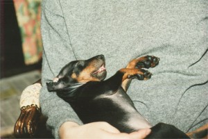 Schlafe mein Princhen...