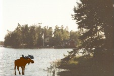 Oves "�lg i vatten"