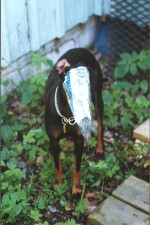 Hey - who turned off the light?