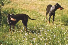 Let�s find a place to lie down!