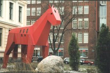 City horse
