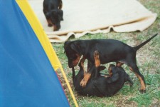 You think you have a chance?