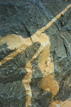 Diskuskastaren, klipph�ll, Vias