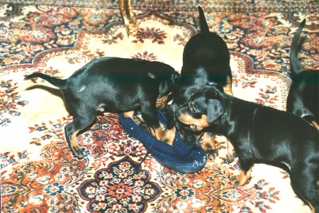 Om du drar d�r, s� drar jag h�r...