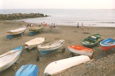 Fishing boats