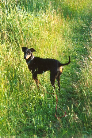 I heard something...