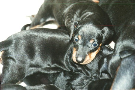 Yes, we have blue eyes, to start with...