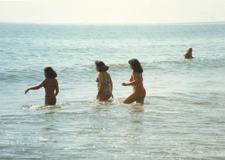 Nymphs