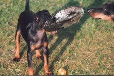 Wanna be served on a plate? Come and get it!