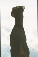 Why can�t girls be on time..