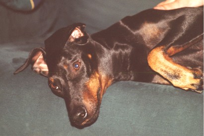 R�nnerdahl i nya husses, Samis, famn