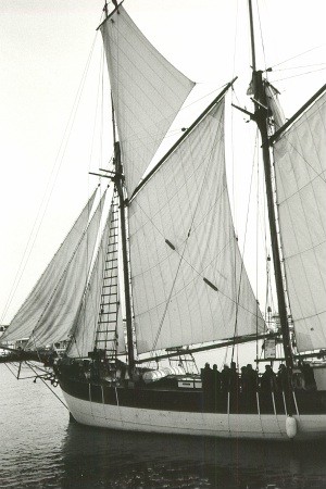 S�dra hamnen