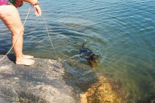She thinks she can push me with that rope.