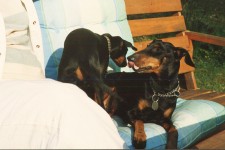 You got something! I can tell.