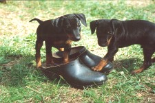 Well, well, what do you know?