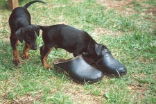 ...must have a closer look! Yes, i fits all right.