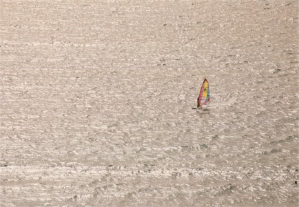 Another surfer