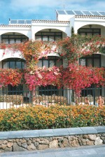 Flower wall
