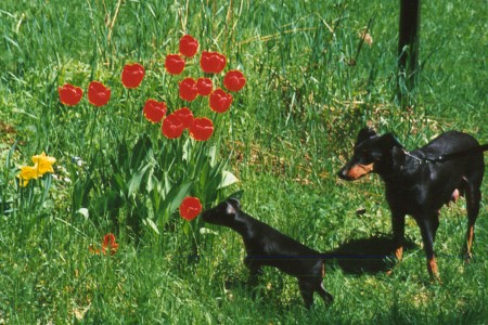 I love the spring...