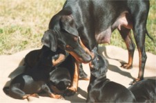 You need a wash, my dear.