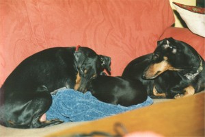 Mother, Child and Grandma